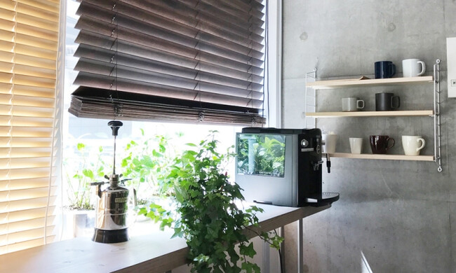 ストリングポケット アッシュ×ホワイト / 石膏ボードアンカー付き 