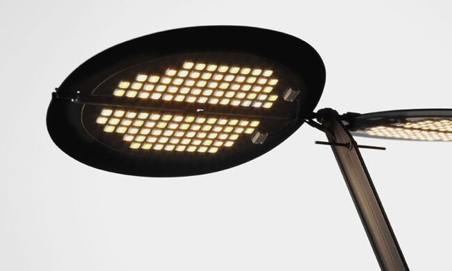 セージ ホワイト 