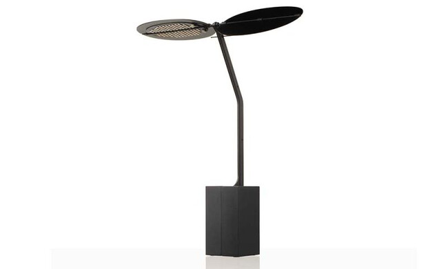 セージ ブラック 