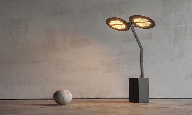 セージ ブラック 