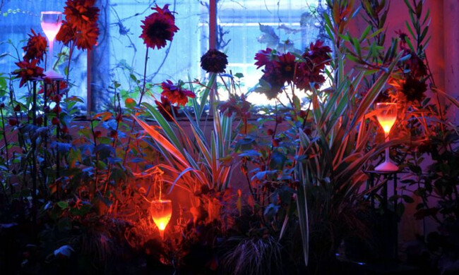 サンバM SAMBA- M / SB-01 