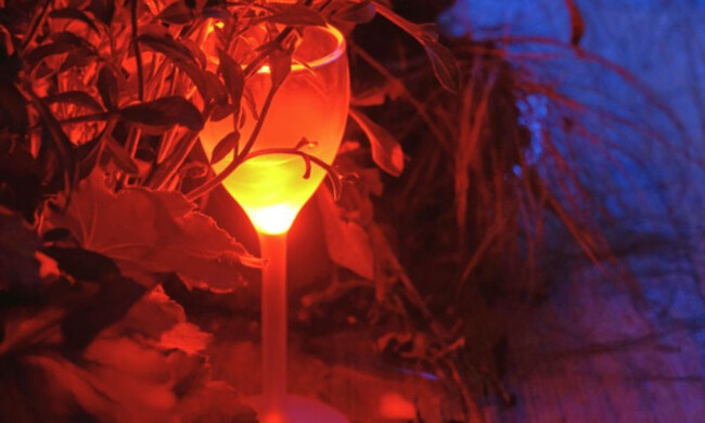 サンバM SAMBA- M / SB-01 