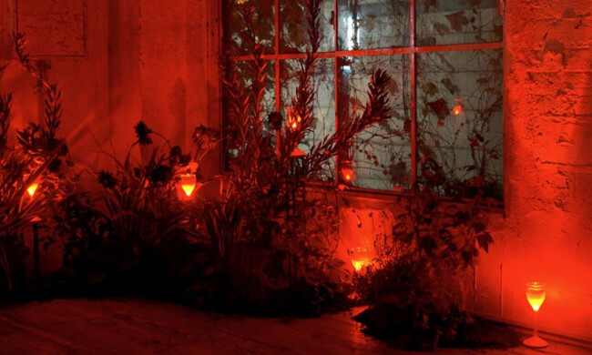 サンバM SAMBA- M / SB-01 