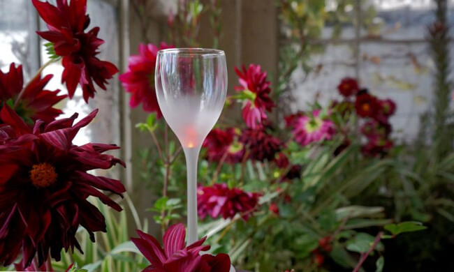 サンバM SAMBA- M / SB-01 