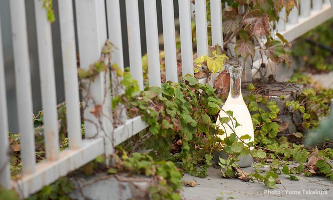 ボトルド Bottled マットシルバー / BL002-11S 