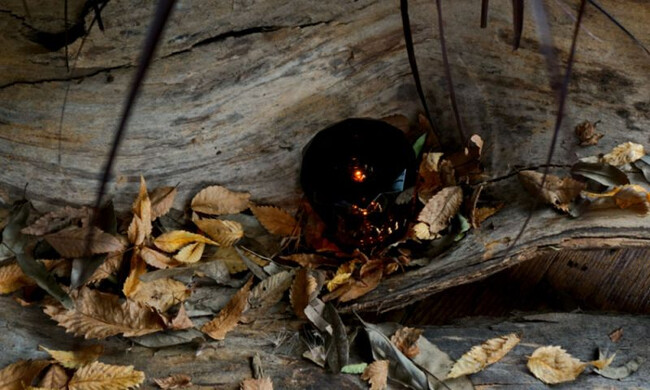 クリスタル アクルクス ダークグレー Xtal Acrux / XL2-AXGRY 