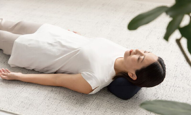 クビピロー KUBI-PILLOW / ネイビー 