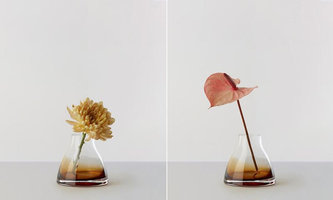 フラワーベース no.1 