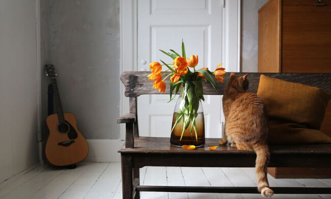 フラワーベース no.3 バーントシェンナ 