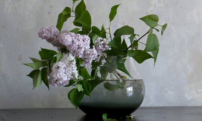 フラワーベース no.23 スモークグレー 