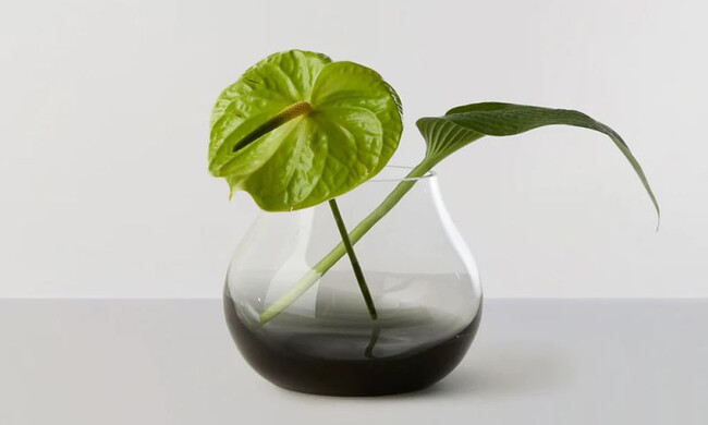 フラワーベース no.23 スモークグレー 