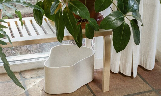 リーヒティエ プラントポットS / TypeA - ホワイト 
