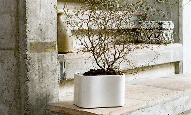 リーヒティエ プラントポットS / TypeA - ブルー 