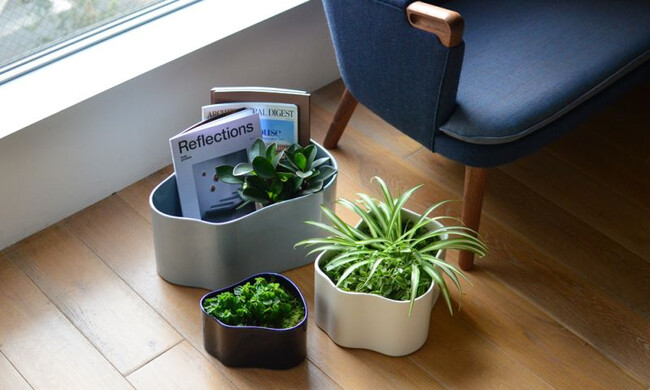 リーヒティエ プラントポットS / TypeA - ブルー 