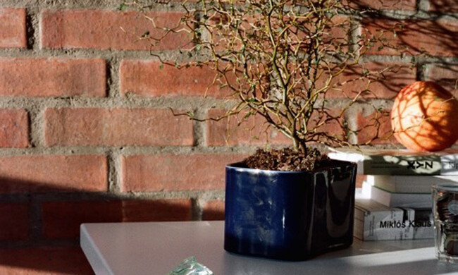 リーヒティエ プラントポットS / TypeB - ホワイト 