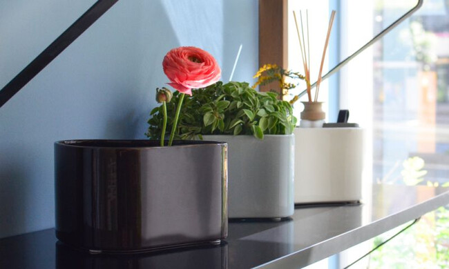 リーヒティエ プラントポットS / TypeB - ブルー 