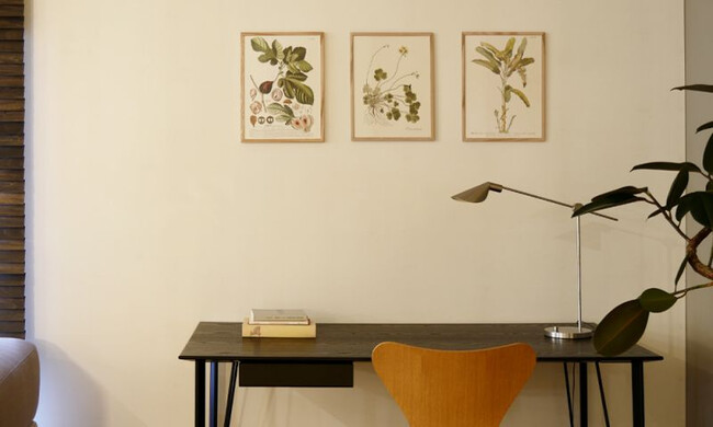 ポスター OXALIS COMPRESSA / 30×40cm / オークフレーム 