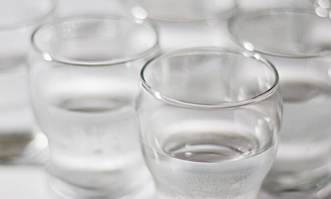 タンブラー ガウディ 9oz / 270cc 