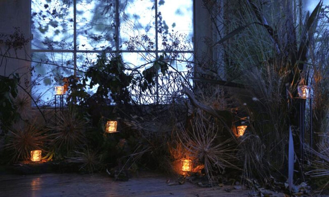 クリスタル Xtal / XL2-ST 