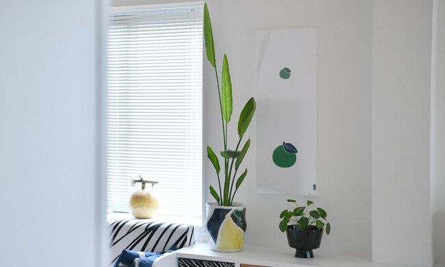 CHUSEN 注染てぬぐい KABOSU 