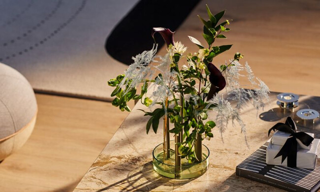 イケルベース ハイ / フォレストグリーン 