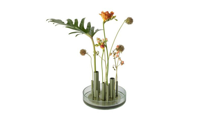 イケルベース ロー / フォレストグリーン 