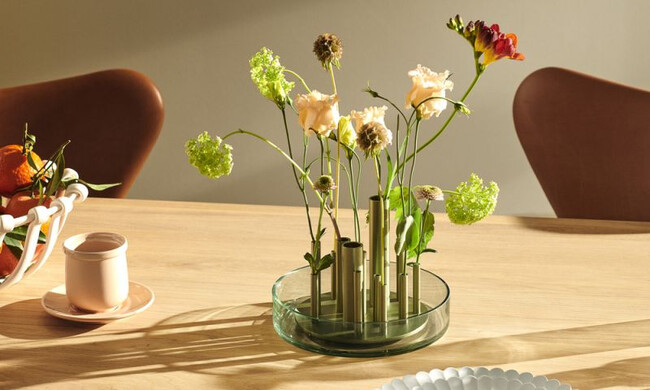 イケルベース ロー / フォレストグリーン 