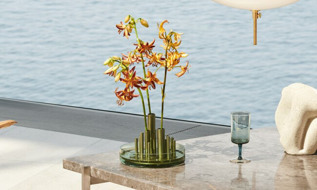 イケルベース ロー / フォレストグリーン 