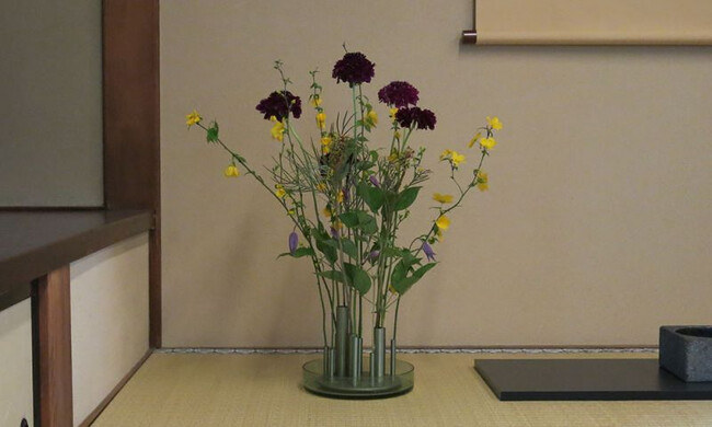 イケルベース ロー / フォレストグリーン 