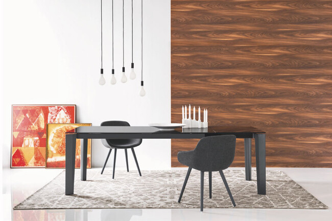 カリガリス イグルー ダイニングチェア ／ Calligaris IGLOO Dining chair[CS1810] SQ8 