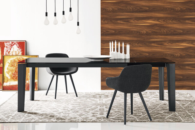 カリガリス イグルー ダイニングチェア ／ Calligaris IGLOO Dining chair[CS1810] SQ8 