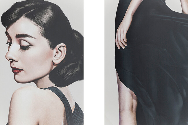 ディーバ172x100cm フレームピクチャー 