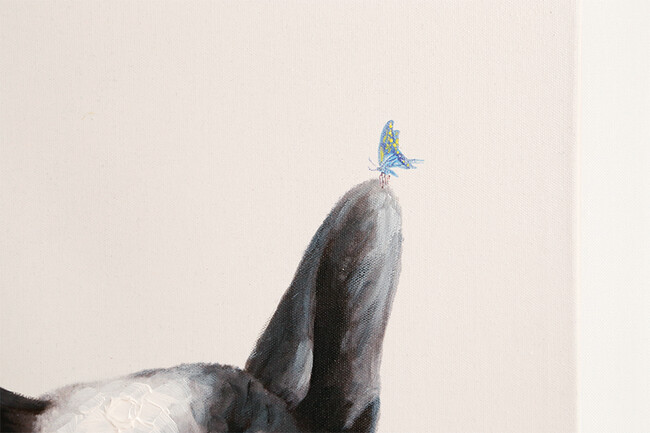 パピヨン 50×50cm 