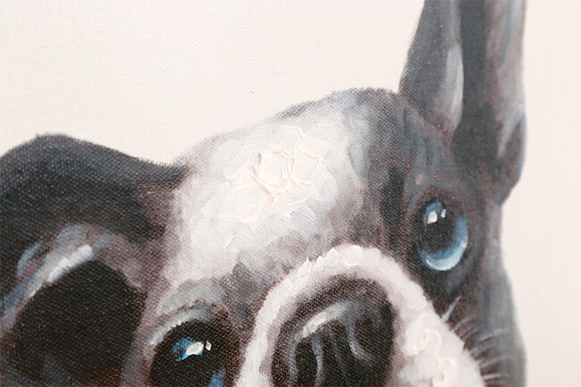 パピヨン 50×50cm 