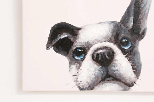 パピヨン 50×50cm 