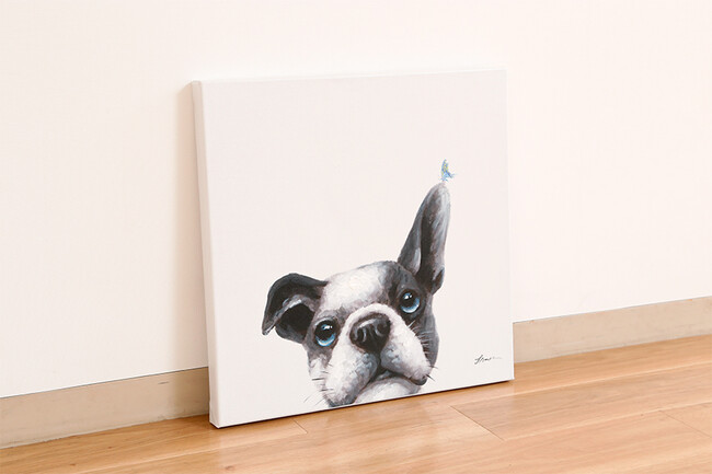 パピヨン 50×50cm 