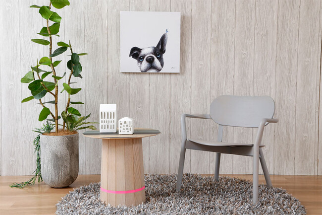 パピヨン 50×50cm 