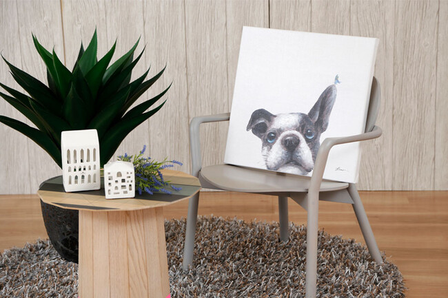 パピヨン 50×50cm 