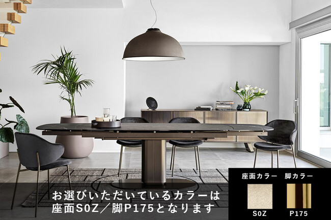 カリガリス ホリー ダイニングチェア ／ Calligaris HOLLY Dining chair[CS2037] S0Z * 