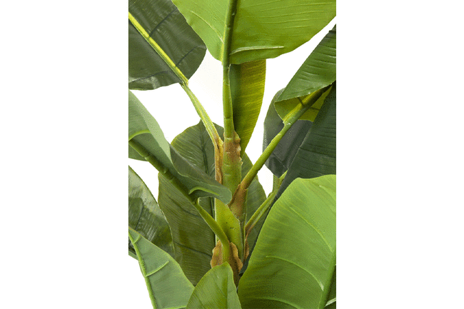 バナナツリー デコプラント* 