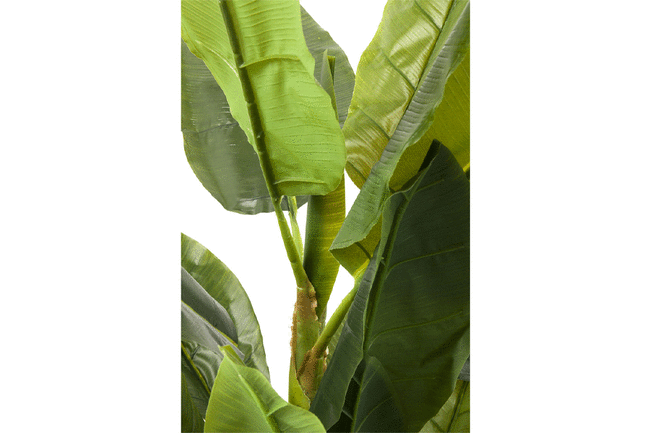バナナツリー デコプラント* 