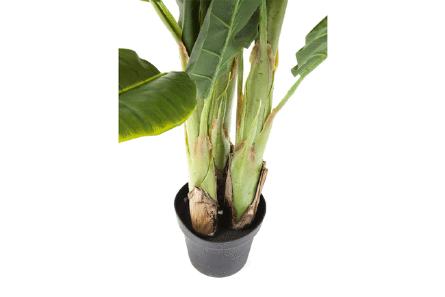 バナナツリー デコプラント* 