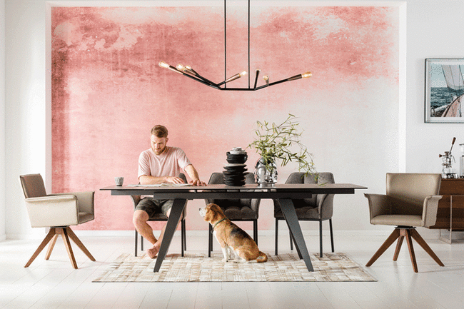 シンクタンク ダイニングチェア 