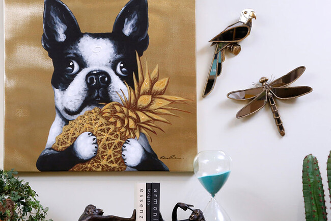 パロットミラー ウォールデコレーション 