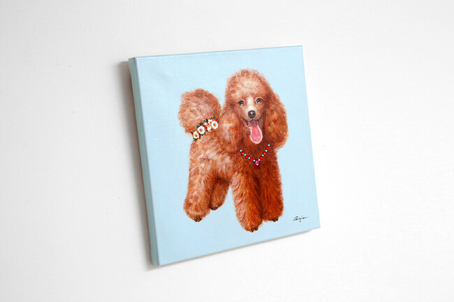 プードル 50×50cm 