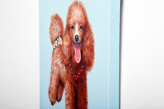 プードル 50×50cm 