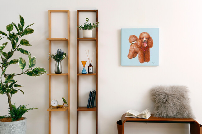 プードル 50×50cm 