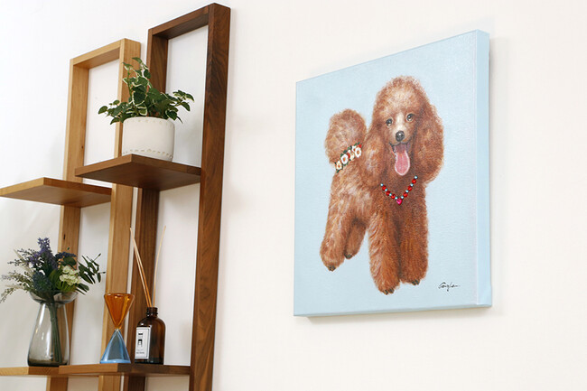 プードル 50×50cm 