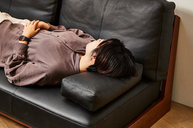 WEBB（ウェッブ）肘クッション レザー 