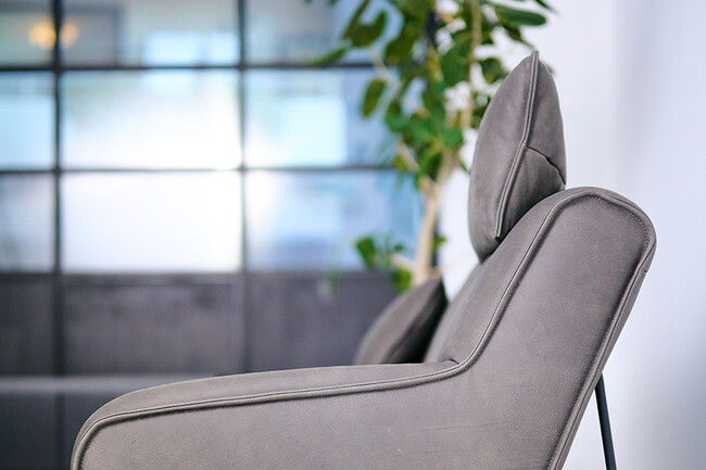 KOINOR（コイノール）GISMO（ギズモ） ヘッドレスト 